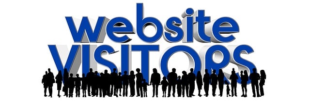 website bezoekers