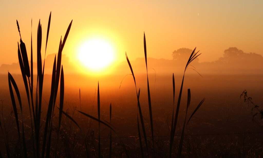 mooie foto's maken