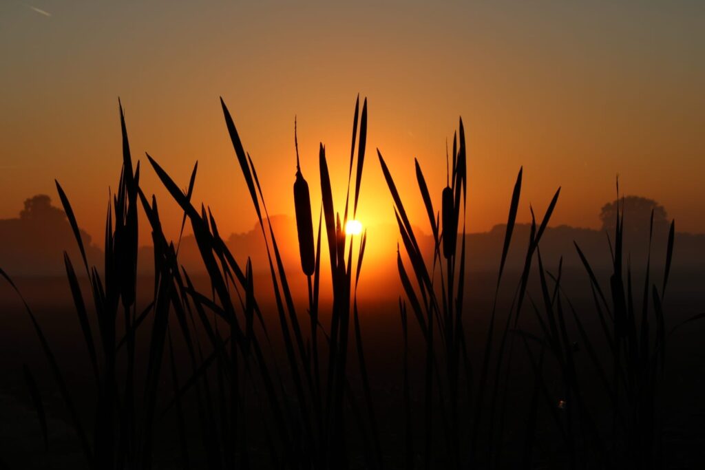 mooie foto's maken