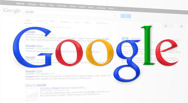 hoog in google