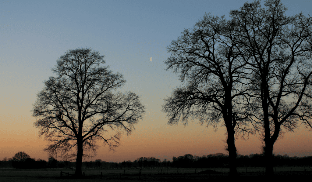 hoe krijg ik rust in mijn hoofd